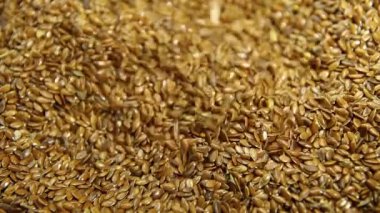 Seçilmiş keten tohumları dökülür.