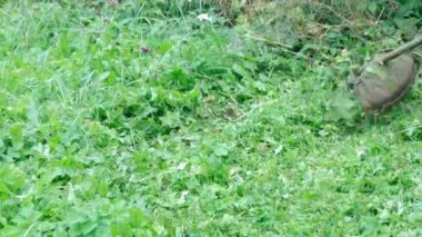 Çimleri elle tutulan bir çim biçme makinesiyle biçin.