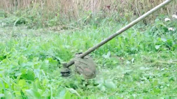 Cortar Grama Com Cortador Grama Mão — Vídeo de Stock