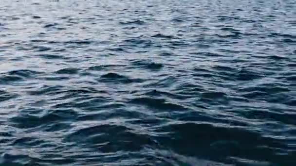 Синій Водяний Фон Рух Хвиль — стокове відео