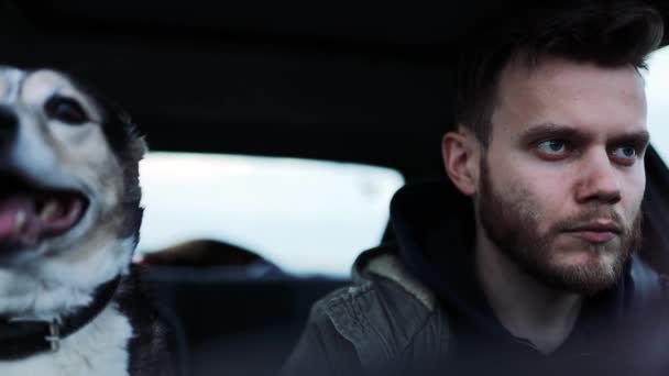 男性ドライバーは犬の乗客と車に乗り悲しい — ストック動画