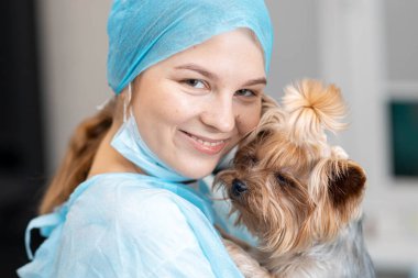 Genç bayan veteriner doktor ve veteriner kliniğinde Yorkshire teriyer köpeği..