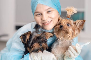 Yorkshire teriyeri köpekli genç bayan veteriner..