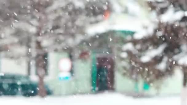 Falling Snow City Winter — Video