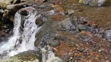 Enjoy the serenity of nature with this captivating video featuring a small waterfall cascading down a rocky stream. The clear water flows gracefully, creating a peaceful and serene atmosphere.