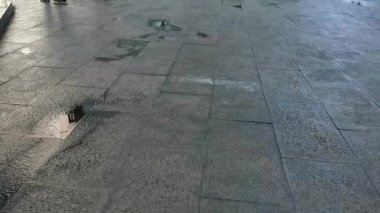 Granit kaldırımlı bir caddede yaya trafiği, yayalar hareket ediyor. Islak asfalt çevredeki ışığı yansıtır ve şehir manzarasına dinamik bir element ekler..