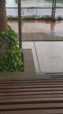 İçinde palmiye ağaçları, ahşap basamaklar ve ışıl ışıl bir kaldırım bulunan sakin bir sahil geçidi. Suyun rahatlatıcı atmosferini ve güzelliğini hisset..