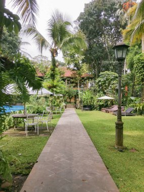 Canlı bir tropikal bahçenin ortasındaki huzurlu bir patika keşif ve rahatlamaya davetiye çıkarır. Yeşillik ve sakin bir atmosfer huzur verici bir kaçış sunuyor. Huzurlu bir vaha deneyimi yaratıyor.