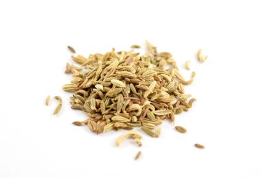 Rezene tohumu yığın izole