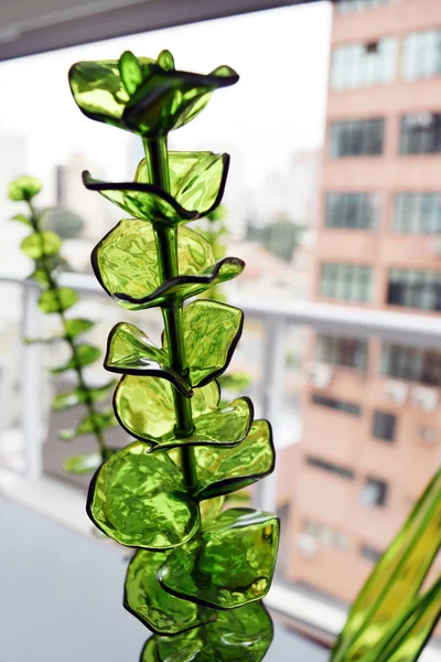 Zelená plastová rostlina — Stock fotografie