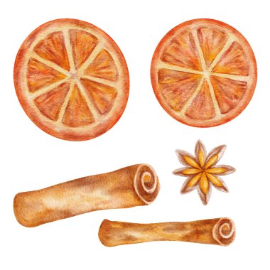 Portakal dilimleri, tarçın çubukları, ve doğal tonlarda yıldız anason, eko Noel kartları için el çizimi suluboya klipsi, kırsal ambalaj, dijital yapıştırma defteri ve DIY etiketleri.