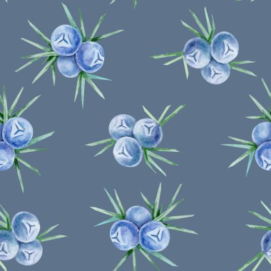 Bu suluboya illüstrasyonunda koyu ardışık yeşil yapraklı mavi ardıç meyvesi kümeleri elle çizilmiş, pürüzsüz tasarım. Tekstil, kırtasiye ve yüzey desenleri için mükemmel..