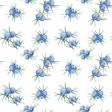 Sivri yeşil yapraklı mavi ardıç meyveleri elle çizilmiş suluboya kliplerinde pürüzsüz bir tasarım oluşturur. Yüzey desenleri, hatıra defteri, kağıt işçiliği ve kumaşlar için harika..
