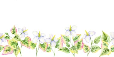 Yeşil kalp şeklindeki yaprakların kusursuz yatay sınırı. Beyaz çiçekli, suluboya resimli, elle çizilmiş. Davetiyeler, kırtasiye kenarları, dekoratif çerçeveler ve afişler için harika.