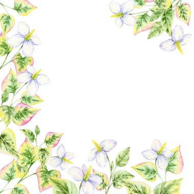 Beyaz çiçekli yeşil ve pembe kalp şeklinde yapraklar, suluboya tırnak boyası, el çizimi, kare çiçek deseni. Davetiyeler, tebrik kartları, ambalaj ve dijital yapıştırma kitabı için mükemmel.