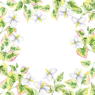 Beyaz çiçeklerin botanik sınırı ve yeşil ve pembe renkli kalp şeklinde yapraklar, suluboya resimler, el çizimi. Düğün kağıtları, tebrik kartları ya da poster tasarımları için harika.