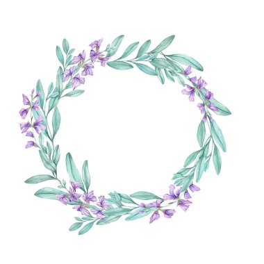 Yeşil yapraklar ve mor adaçayı çiçekleri yuvarlak bir çelenk oluşturur, suluboya klitoris, el çizimi. Etiketler, davetiyeler, dekoratif posterler, düğün kırtasiyesi, kumaş ve ambalaj için mükemmel.