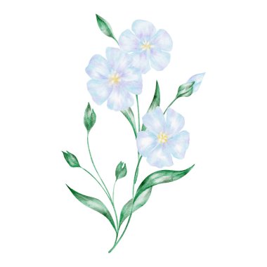 Yeşil yapraklı mavi keten çiçek, izole edilmiş, elle boyanmış suluboya klitoris. Botanik tasarımlar, çiçek dekoru, doğa çizimleri ve bahar temalı projeler için mükemmel.