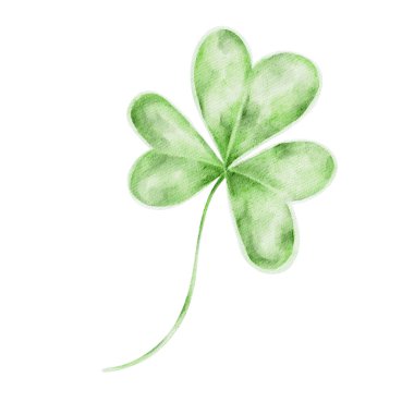 Uzun saplı, izole edilmiş, elle boyanmış suluboya bir yonca. İrlanda folklor tasarımları, botanik dekoru ve Aziz Patrick Günü grafikleri için mükemmel.