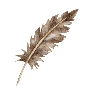 Topraksı kahverengi ve taupe renkte desenli tüy, suluboya resimleme. Valentine temalı davetiyeler, marka ayrıntıları, dergiler, planlayıcılar, ambalaj ve dekoratif kompozisyonlar için uygundur