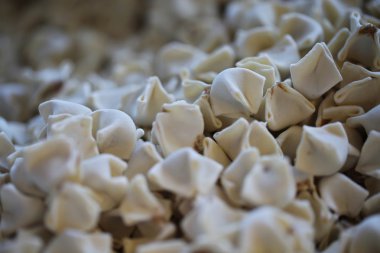 Kayseri mantı, mantı yemek, Türk mutfağı