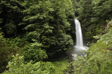 Palovit Şelalesi Camlihemsin Rize, Türkiye, görünümü