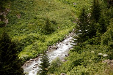 Karadeniz, Rize Cat Creek Köyü, Türkiye, Manzara
