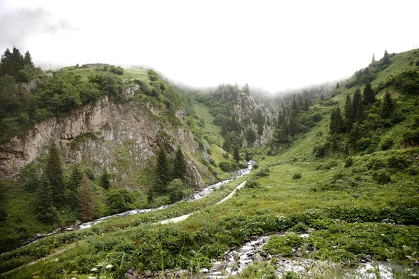 Черное Море Rize Cat Creek Village Турция Вид — стоковое фото