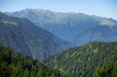 Yüksek dağlar, Dağ Manzarası ve Ağaçlar