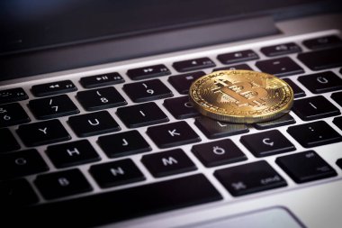 Bitcoins, Crypto Money, Dizüstü bilgisayardaki Bitcoin Aktarımları