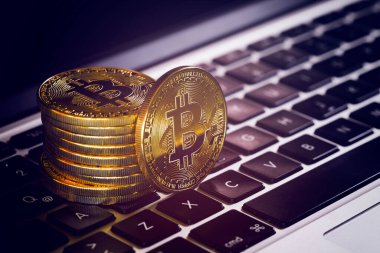Bitcoins, Crypto Money, Dizüstü bilgisayardaki Bitcoin Aktarımları