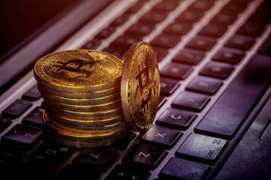 Bitcoins, Crypto Money, Dizüstü bilgisayardaki Bitcoin Aktarımları