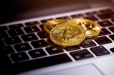 Bitcoins, Crypto Money, Dizüstü bilgisayardaki Bitcoin Aktarımları