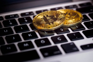 Bitcoins, Crypto Money, Dizüstü bilgisayardaki Bitcoin Aktarımları