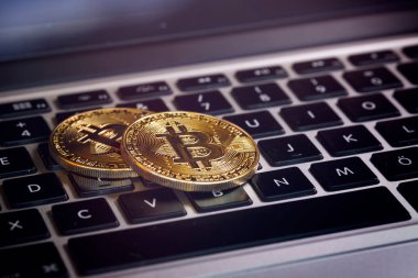 Bitcoins, Crypto Money, Dizüstü bilgisayardaki Bitcoin Aktarımları