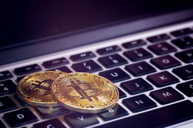 Bitcoins, Crypto Money, Dizüstü bilgisayardaki Bitcoin Aktarımları