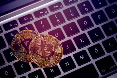 Bitcoins, Crypto Money, Dizüstü bilgisayardaki Bitcoin Aktarımları