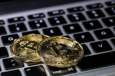 Bitcoins, Crypto Money, Dizüstü bilgisayardaki Bitcoin Aktarımları