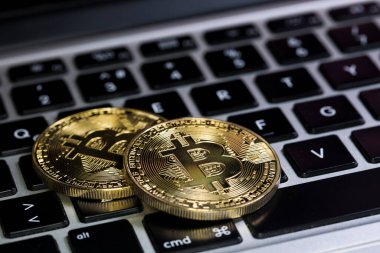 Bitcoins, Crypto Money, Dizüstü bilgisayardaki Bitcoin Aktarımları