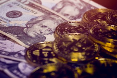 Bitcoin ve Dolar, Bitcoin, Crypto Money and Dollar, Bitcoin Exchange