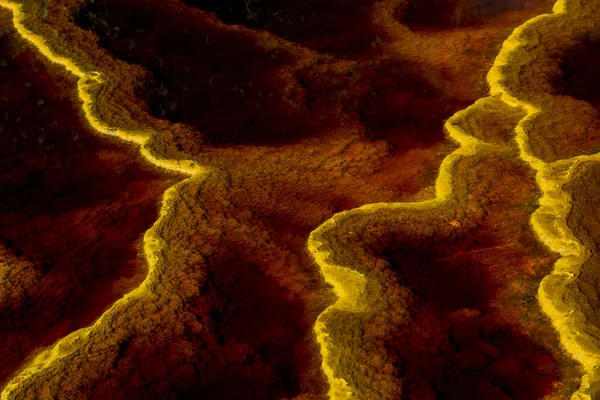 Texturas marrones y amarillas bajo el agua — Foto de Stock