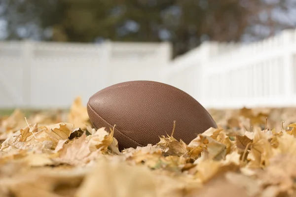 Oval football on autumn leaves. — Stock Photo, Image