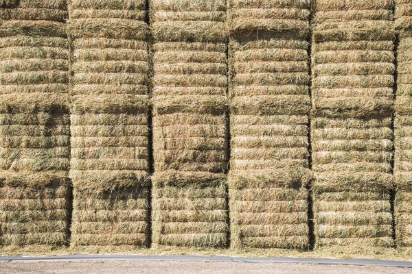 Stack of hay bales — Stock Photo, Image