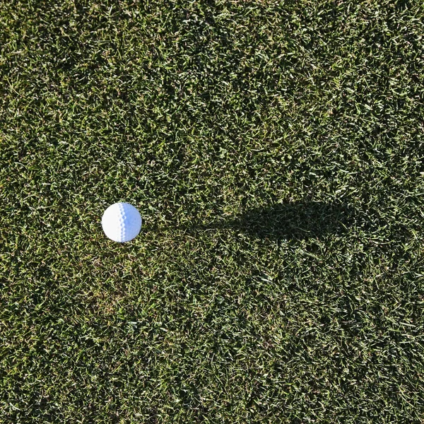 Golfball Auf Dem Abschlag Auf Dem Golfplatz — Stockfoto