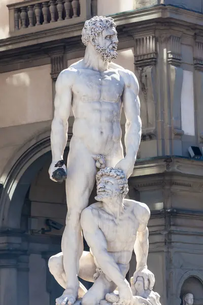 Estátua Neptuno Piazza Della Signora Florença Itália — Fotografia de Stock