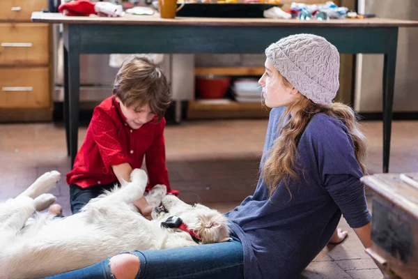 Adolescente Seu Irmão Mais Novo Brincando Com Seu Golden Retriever — Fotografia de Stock