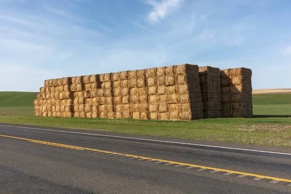 Gran Pila Fardos Heno Campo Por Una Carretera — Foto de Stock