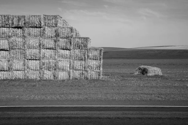 Large Stack Hay Bales Black White — Stock Photo, Image