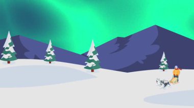 Gece karlı bir araziyi gezen bir turist parlayan bir Aurora Borealis 'in altında bir köpek kızağıyla geziyor..