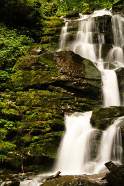 Karpatlar 'daki Shypit şelalesinde güzel bir şelale manzarası